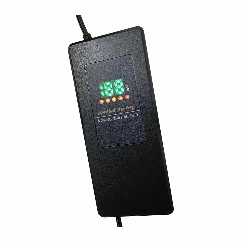 Lead Acid Battery Smart Charger best